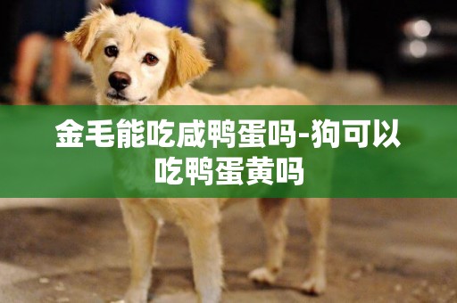 金毛能吃咸鴨蛋嗎-狗可以吃鴨蛋黃嗎
