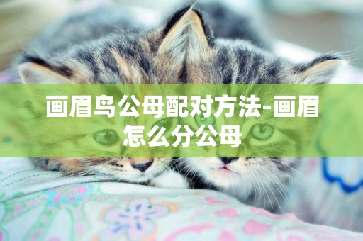 畫眉鳥公母配對方法-畫眉怎么分公母