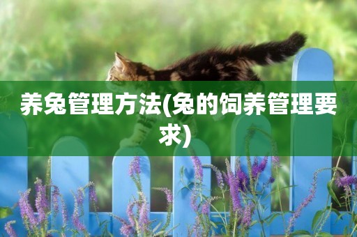 養兔管理方法(兔的飼養管理要求) 