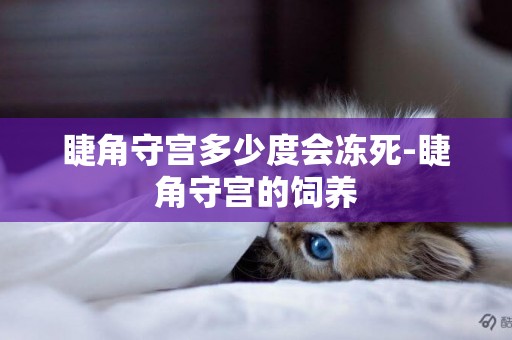 睫角守宮多少度會凍死-睫角守宮的飼養