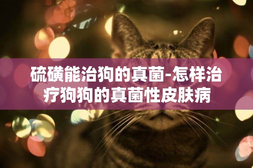 硫磺能治狗的真菌-怎樣治療狗狗的真菌性皮膚病
