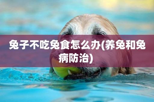 兔子不吃兔食怎么辦(養兔和兔病防治) 