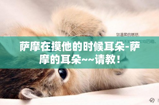 薩摩在摸他的時候耳朵-薩摩的耳朵~~請教！
