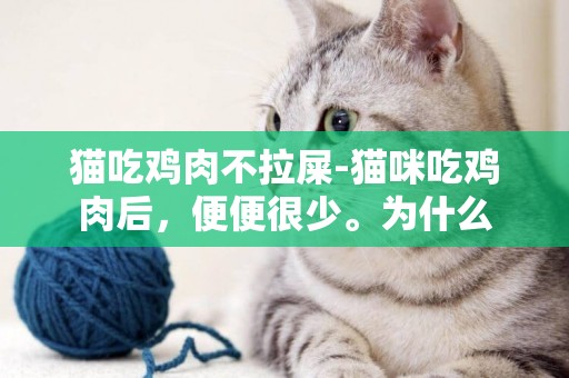 貓吃雞肉不拉屎-貓咪吃雞肉后，便便很少。為什么