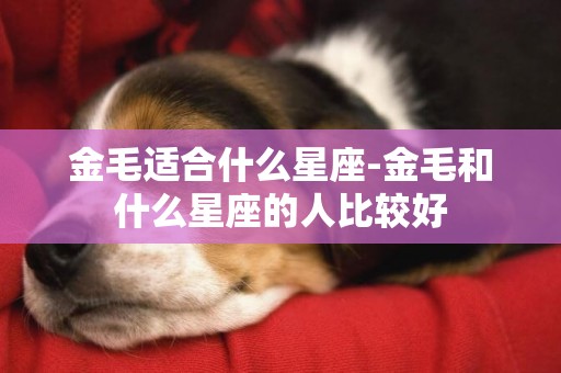 金毛適合什么星座-金毛和什么星座的人比較好