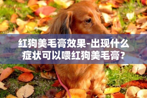 紅狗美毛膏效果-出現什么癥狀可以喂紅狗美毛膏？
