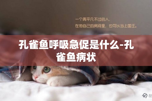 孔雀魚呼吸急促是什么-孔雀魚病狀