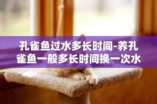 孔雀魚過水多長時間-養孔雀魚一般多長時間換一次水