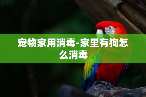 寵物家用消毒-家里有狗怎么消毒