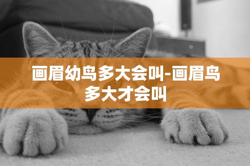 畫眉幼鳥多大會叫-畫眉鳥多大才會叫