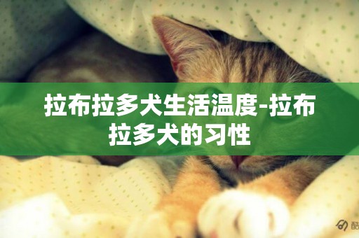 拉布拉多犬生活溫度-拉布拉多犬的習性