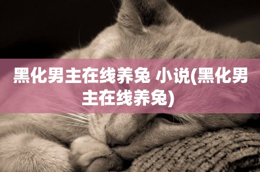 黑化男主在線養兔 小說(黑化男主在線養兔) 
