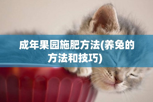 成年果園施肥方法(養兔的方法和技巧) 