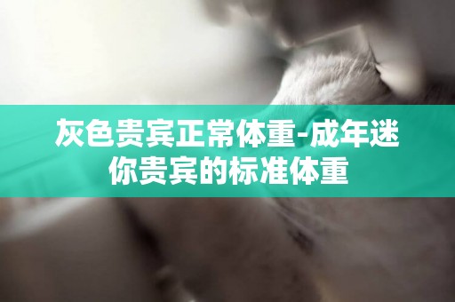 灰色貴賓正常體重-成年迷你貴賓的標準體重
