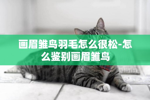 畫眉雛鳥羽毛怎么很松-怎么鑒別畫眉雛鳥