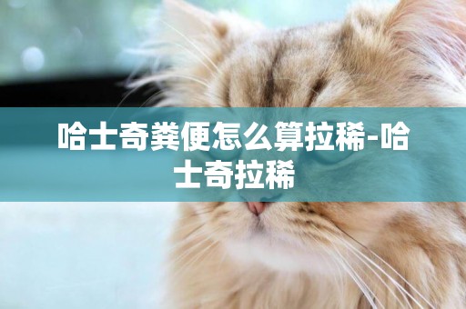 哈士奇糞便怎么算拉稀-哈士奇拉稀