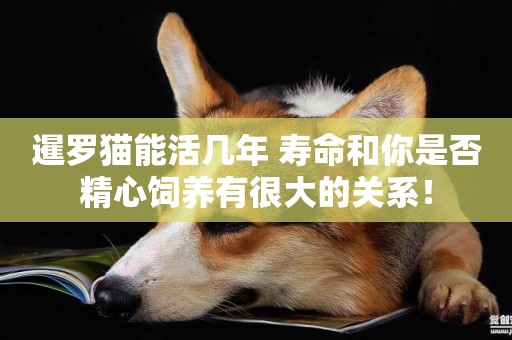 暹羅貓能活幾年 壽命和你是否精心飼養有很大的關系！