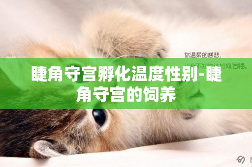 睫角守宮孵化溫度性別-睫角守宮的飼養