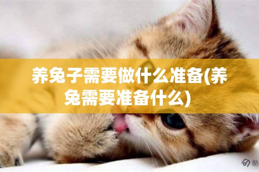 養兔子需要做什么準備(養兔需要準備什么) 