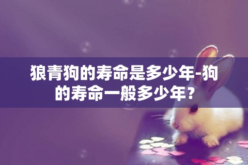 狼青狗的壽命是多少年-狗的壽命一般多少年？
