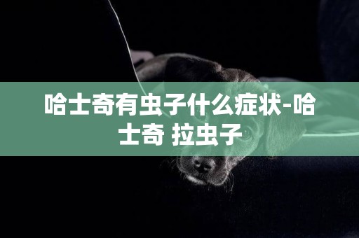 哈士奇有蟲子什么癥狀-哈士奇 拉蟲子