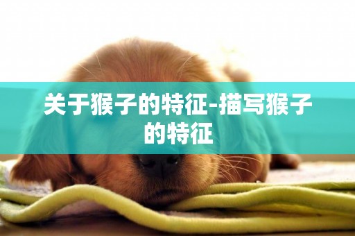 關于猴子的特征-描寫猴子的特征