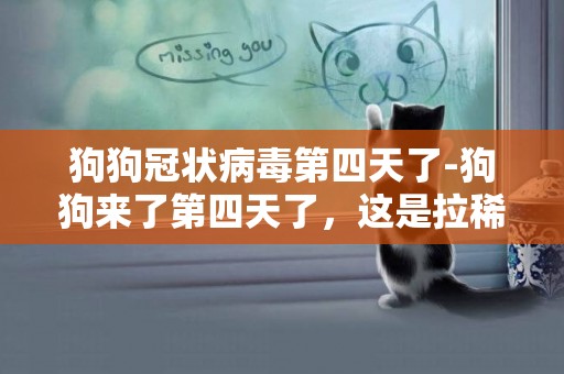 狗狗冠狀病毒第四天了-狗狗來了第四天了，這是拉稀嗎，