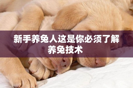新手養兔人這是你必須了解養兔技術 