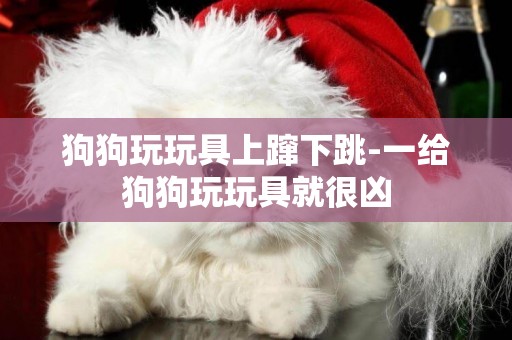 狗狗玩玩具上躥下跳-一給狗狗玩玩具就很兇