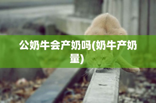 公奶牛會產奶嗎(奶牛產奶量) 