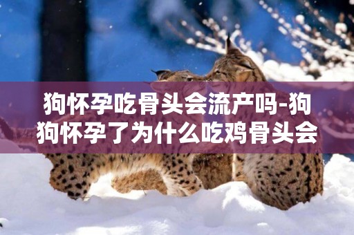 狗懷孕吃骨頭會流產嗎-狗狗懷孕了為什么吃雞骨頭會流產？？