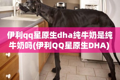 伊利qq星原生dha純牛奶是純牛奶嗎(伊利QQ星原生DHA) 
