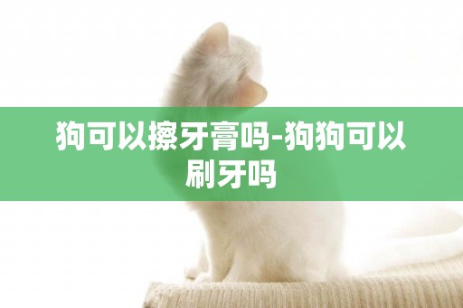 狗可以擦牙膏嗎-狗狗可以刷牙嗎