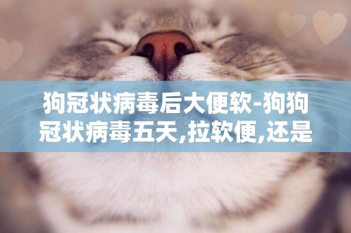 狗冠狀病毒后大便軟-狗狗冠狀病毒五天,拉軟便,還是吐