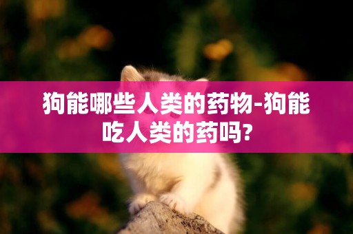 狗能哪些人類的藥物-狗能吃人類的藥嗎?