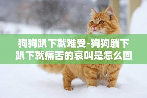狗狗趴下就難受-狗狗躺下趴下就痛苦的哀叫是怎么回事，