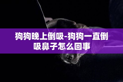 狗狗晚上倒吸-狗狗一直倒吸鼻子怎么回事