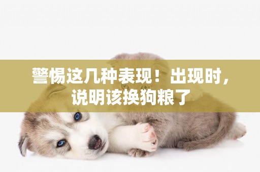 警惕這幾種表現！出現時，說明該換狗糧了