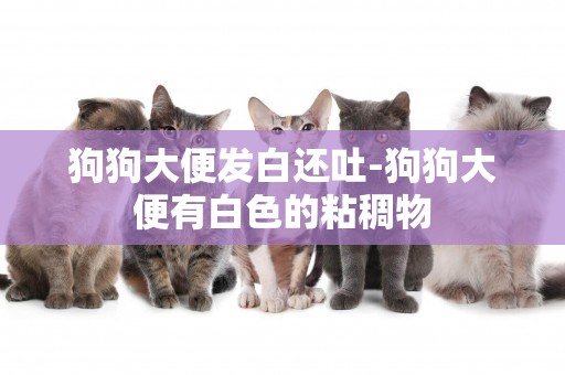 狗狗大便發白還吐-狗狗大便有白色的粘稠物