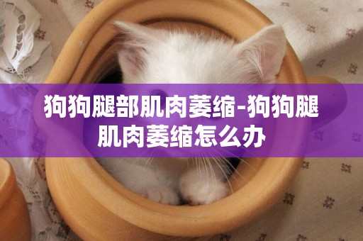 狗狗腿部肌肉萎縮-狗狗腿肌肉萎縮怎么辦