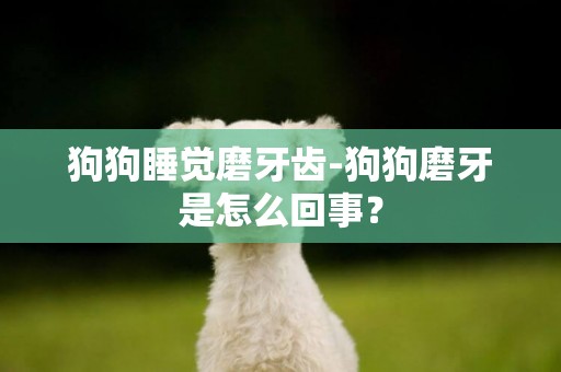 狗狗睡覺磨牙齒-狗狗磨牙是怎么回事？