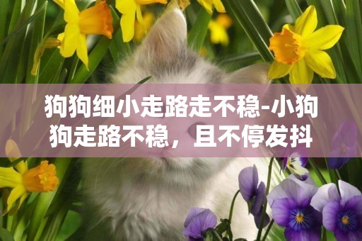 狗狗細小走路走不穩-小狗狗走路不穩，且不停發抖