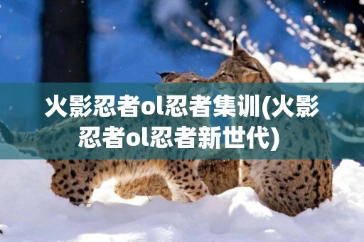 火影忍者ol忍者集訓(火影忍者ol忍者新世代) 