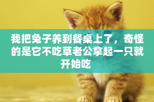 我把兔子養到餐桌上了，奇怪的是它不吃草老公拿起一只就開始吃 