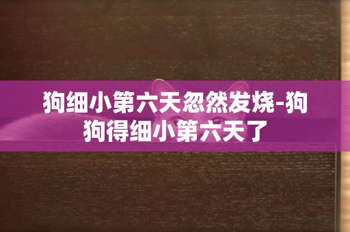 狗細小第六天忽然發燒-狗狗得細小第六天了
