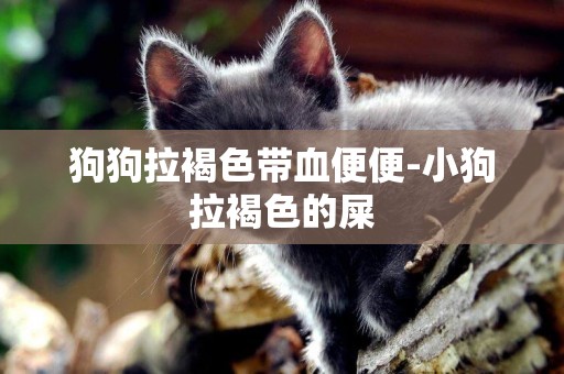 狗狗拉褐色帶血便便-小狗拉褐色的屎