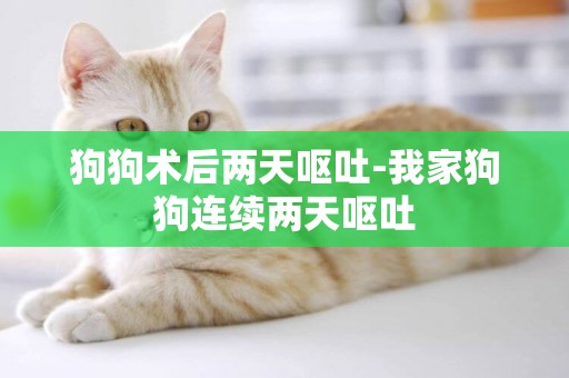 狗狗術后兩天嘔吐-我家狗狗連續兩天嘔吐