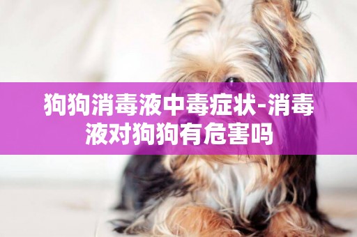 狗狗消毒液中毒癥狀-消毒液對狗狗有危害嗎