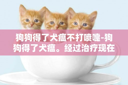 狗狗得了犬瘟不打噴嚏-狗狗得了犬瘟。經過治療現在只有打噴嚏，一直不好。真么辦阿
