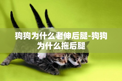 狗狗為什么老伸后腿-狗狗為什么拖后腿